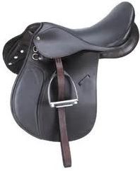 Quiz Chevaux