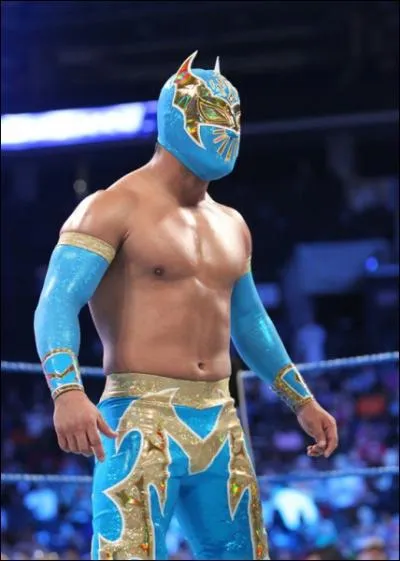 Comment s'appelle ce catcheur ?