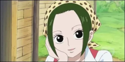 De quel membre de l'équipage du Chapeau de paille Makino, tenancière d'une taverne, est-elle la plus proche ?