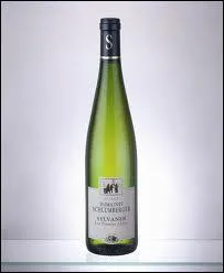 Nous allons boire un vin d'Alsace :