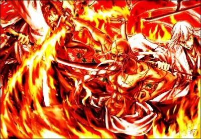 Je commande le Gotei 13 depuis plus de 1000 ans et je suis le plus fort de tout les Shinigami. Je me nomme Yamamoto Genryuusai Shigekuni.