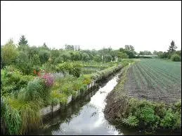 Les jardins flottants dits ' hortillonnages ' sont a dcouvrir dans quelle ville ?