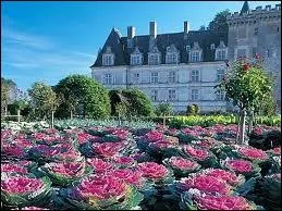Ces jardins  la franaise bords de buis font la renomme de quel chteau de la Loire ?