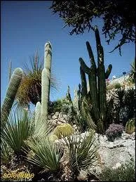 Sur quelle commune des Alpes-Maritimes se trouve ce jardin exotique suspendu  430 m au dessus de la mer ?