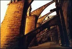 Quel est cet lment typique de l'architecture gothique indispensable  la bonne rsistance de l'difice ?