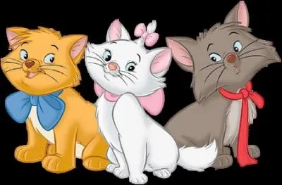 Nous sommes trois adorables chatons frères et surs :