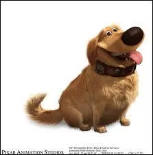 J'apparais dans ''Là-Haut''. Qui suis-je ?