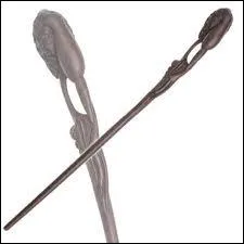 De qui est-elle la proprit ?