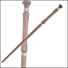 Comment s'appelle son propritaire ?