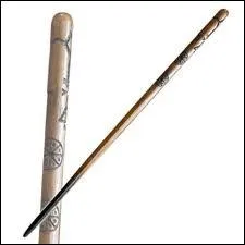 Qui est son propritaire ?