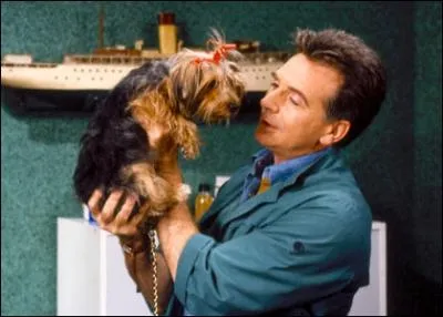 Quelle srie mettait en scne une femme mdecin et son mari vtrinaire ?