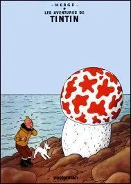 De quel album s'agit-il ?