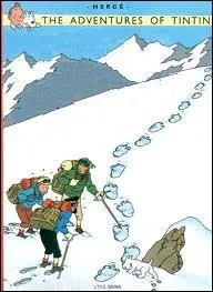 De quel album s'agit-il ?