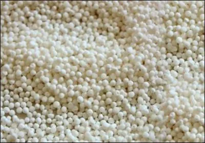  partir de quelle plante les Indiens d'Amazonie fabriquaient-ils le tapioca ?