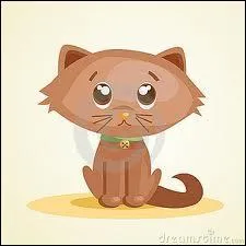 L'auteur de ce quizz a fait une minuscule faute de ponctuation :