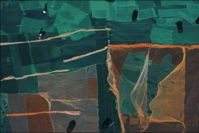 De quoi s'agit-il sur cette photo ?