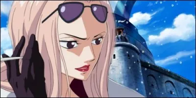 Comment s'appelle le colonel de la Marine qui capture Mr 2 lors de la bataille d'Alabasta ?