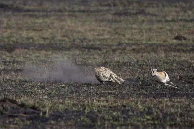 Quel est le but de cette manuvre ?