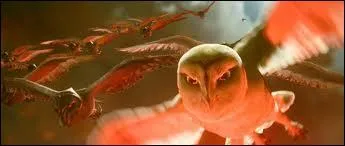 Qui meurt  la fin de la collection ?