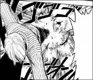 Quelle est cette attaque ?