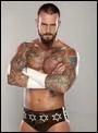 Dans quel show est CM Punk ?