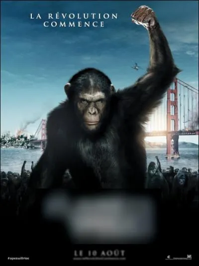 Quel est le titre de ce film ?