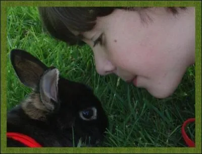 En quoi l'homme est-il suprieur au lapin ?