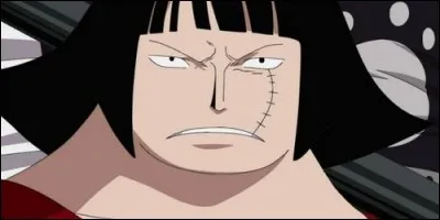 Où Luffy et ses compagnons rencontrent Sentomaru pour le première fois ?