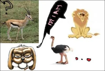 Qui mange l'antilope ?