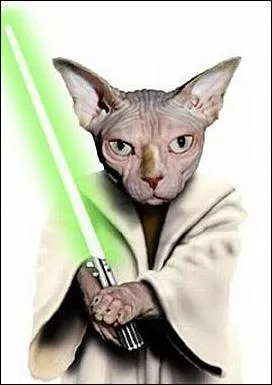 Ce matre a des matres...