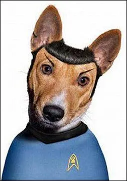 Quelle est sa srie prfre ?