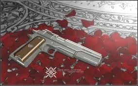 A qui appartient cette arme ?