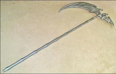 A qui appartient cette arme ?