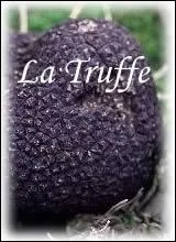 Le Muse de la Truffe ?