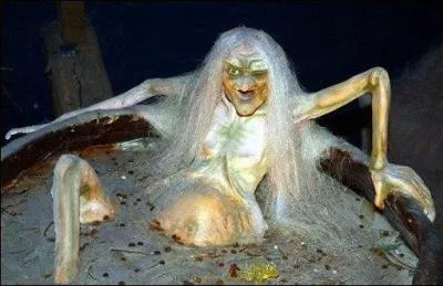 Le Muse de la Sorcellerie ?