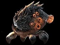 Quelle est cette crature leve par Hagrid ?