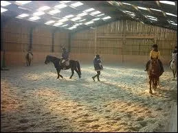 Quelle distance laisses-tu avec le cheval qui te prcde : ?