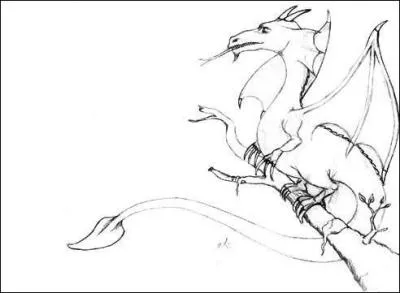 Quel animal est le plus rapide du monde ?