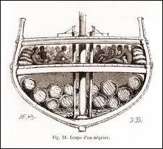 Les esclaves taient transports, entasss dans les cales, dans des conditions inhumaines. Quel tait le taux de mortalit moyen dans les navires ngriers ?