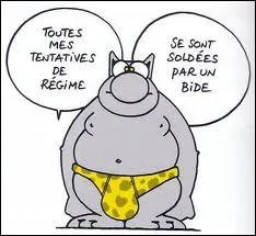 Quelle station balnaire amricaine visite le ' Chat ' de Philippe Geluck ?