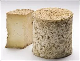 Le persillé de Tignes est un fromage de...