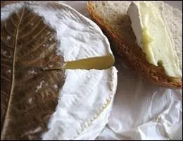 La Feuille de Dreux est un fromage de...