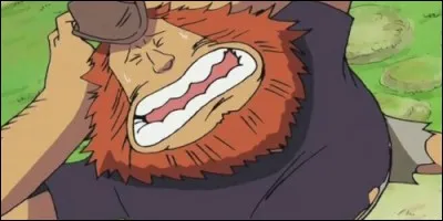 Lequel de ces amiraux bat Haguar D. Sauro, sauvé de la noyade par la jeune Nico Robin ?