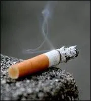 Stphanie et son cousin ne SUPPORTENT pas l'odeur de cigarette.