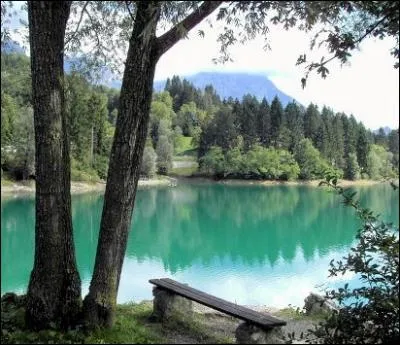 Ils traversrent la fort, puis arrivrent devant le lac.