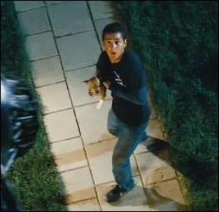 Comment s'appelle le chien de Sam ?