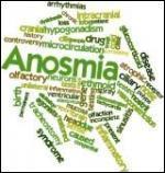 L'anosmie est une pathologie correspondant à la perte d'un sens. Lequel ?