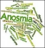 L'anosmie est une pathologie correspondant  la perte d'un sens. Lequel ?