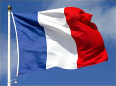 Le drapeau tricolore ayant une connotation trop révolutionnaire pour les royalistes, quel nouveau drapeau représente la France ?