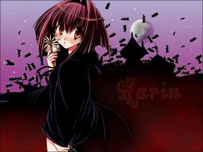 Sur qui le sang de Karin agit-il ?